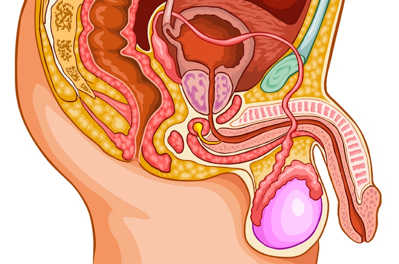 Centre d'Urologie laser Archives | clinique avicenne